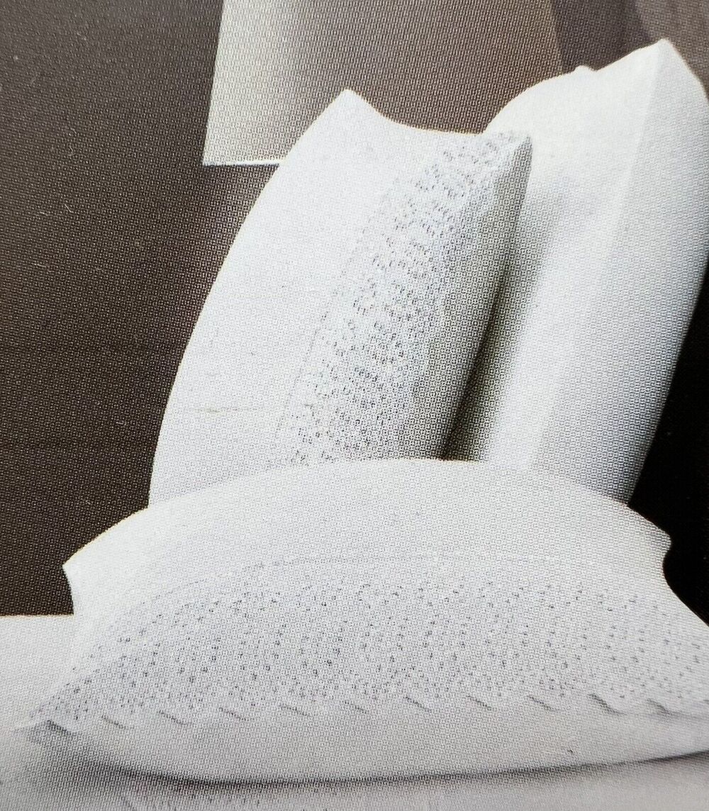 Rachel Ashwell Embroidered Eyelet Hem Standard PILLOWCASES White 100% Cotton NIP